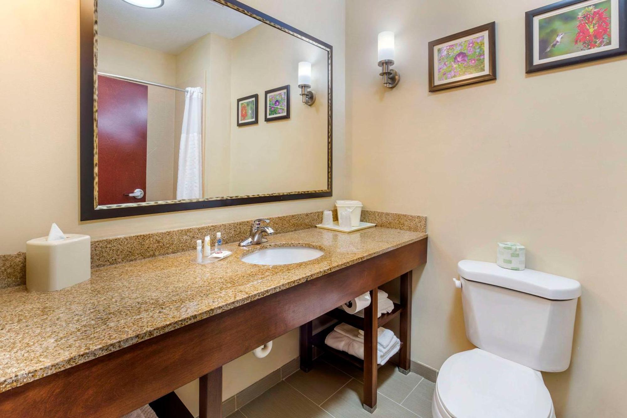 คอมฟอร์ท สวีท วิลสัน - ไอ - 95 Hotel ภายนอก รูปภาพ